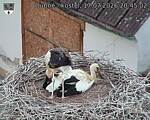 Capi_Dubne_20260717_204502.jpg