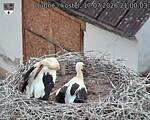Capi_Dubne_20260717_210003.jpg