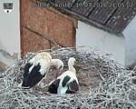 Capi_Dubne_20260717_210502.jpg