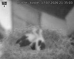 Capi_Dubne_20260717_213503.jpg