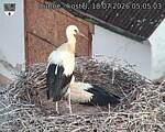 Capi_Dubne_20260718_050503.jpg
