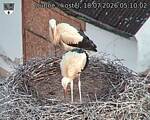 Capi_Dubne_20260718_051002.jpg
