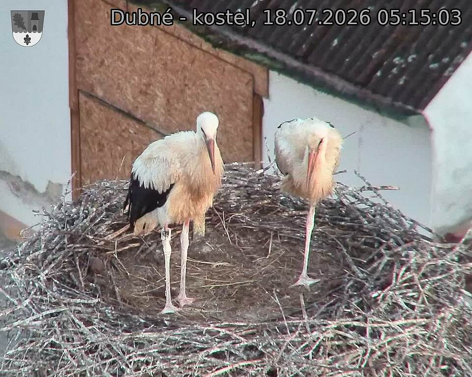 preload