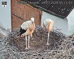 Capi_Dubne_20260718_051503.jpg
