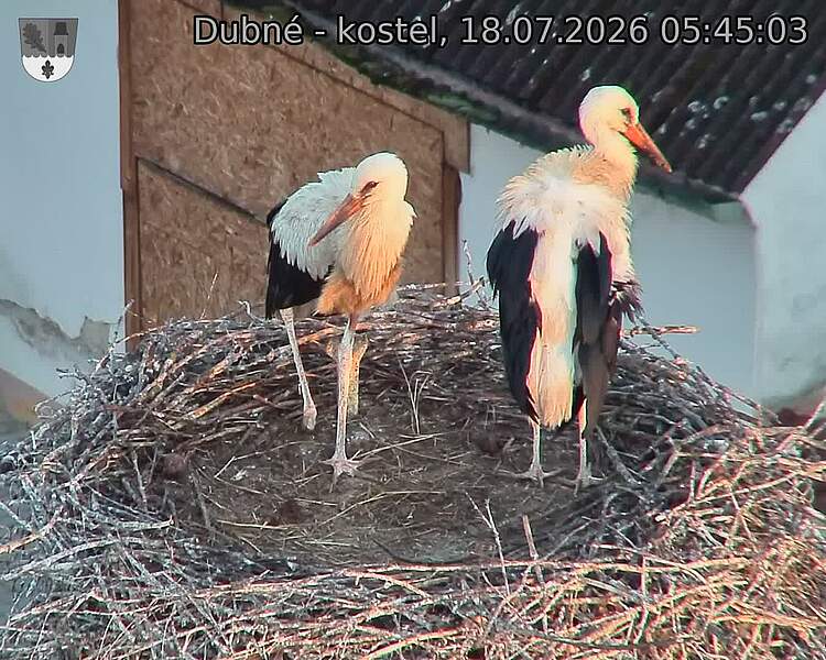 preload