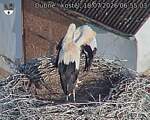 Capi_Dubne_20260718_065503.jpg