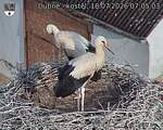 Capi_Dubne_20260718_070503.jpg