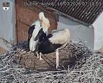 Capi_Dubne_20260718_071003.jpg