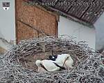 Capi_Dubne_20260718_093503.jpg