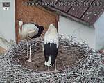 Capi_Dubne_20260718_100503.jpg