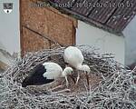 Capi_Dubne_20260718_120503.jpg