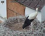 Capi_Dubne_20260718_122003.jpg