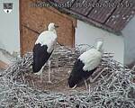 Capi_Dubne_20260718_122503.jpg