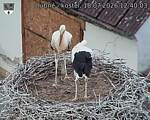 Capi_Dubne_20260718_124003.jpg