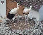 Capi_Dubne_20260718_131002.jpg