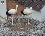 Capi_Dubne_20260718_132003.jpg