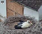 Capi_Dubne_20260718_133003.jpg