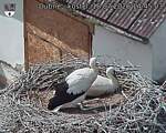 Capi_Dubne_20260718_144503.jpg