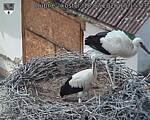 Capi_Dubne_20260718_151503.jpg