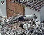 Capi_Dubne_20260718_153003.jpg