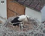Capi_Dubne_20260718_154003.jpg