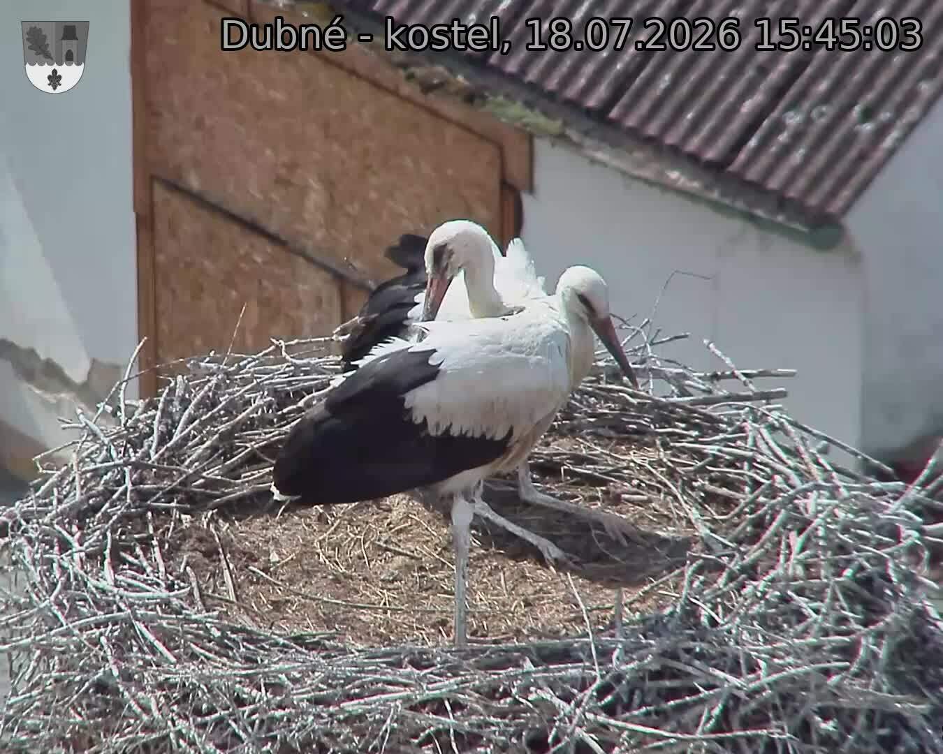 preload