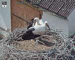 Capi_Dubne_20260718_154503.jpg