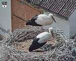 Capi_Dubne_20260718_161003.jpg