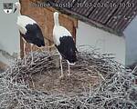 Capi_Dubne_20260718_163003.jpg