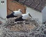 Capi_Dubne_20260718_163503.jpg