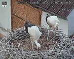 Capi_Dubne_20260718_165003.jpg