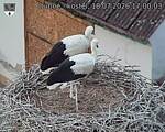 Capi_Dubne_20260718_170003.jpg