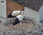 Capi_Dubne_20260718_170503.jpg