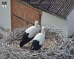 Capi_Dubne_20260718_171003.jpg