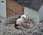 Capi_Dubne_20260718_171503.jpg