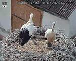 Capi_Dubne_20260718_172002.jpg