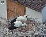 Capi_Dubne_20260718_173503.jpg