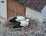Capi_Dubne_20260718_175503.jpg