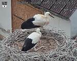 Capi_Dubne_20260718_180502.jpg