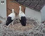 Capi_Dubne_20260718_181003.jpg