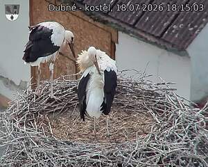 preload