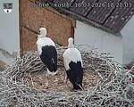 Capi_Dubne_20260718_182003.jpg
