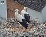 Capi_Dubne_20260718_191003.jpg