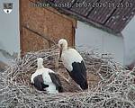Capi_Dubne_20260718_192503.jpg