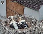 Capi_Dubne_20260718_193003.jpg