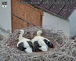Capi_Dubne_20260718_193503.jpg
