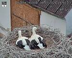 Capi_Dubne_20260718_194003.jpg