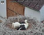 Capi_Dubne_20260718_195503.jpg