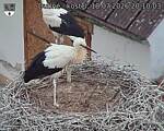 Capi_Dubne_20260718_201003.jpg