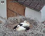 Capi_Dubne_20260718_202003.jpg